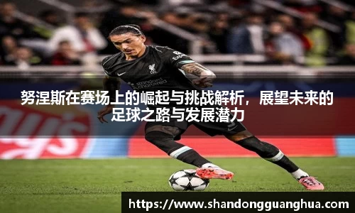 雷火电竞官网
