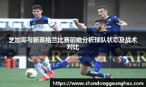 雷火电竞官网