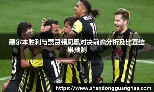 墨尔本胜利与惠灵顿凤凰对决前瞻分析及比赛结果预测